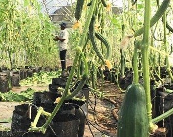 Appelkloof Trust